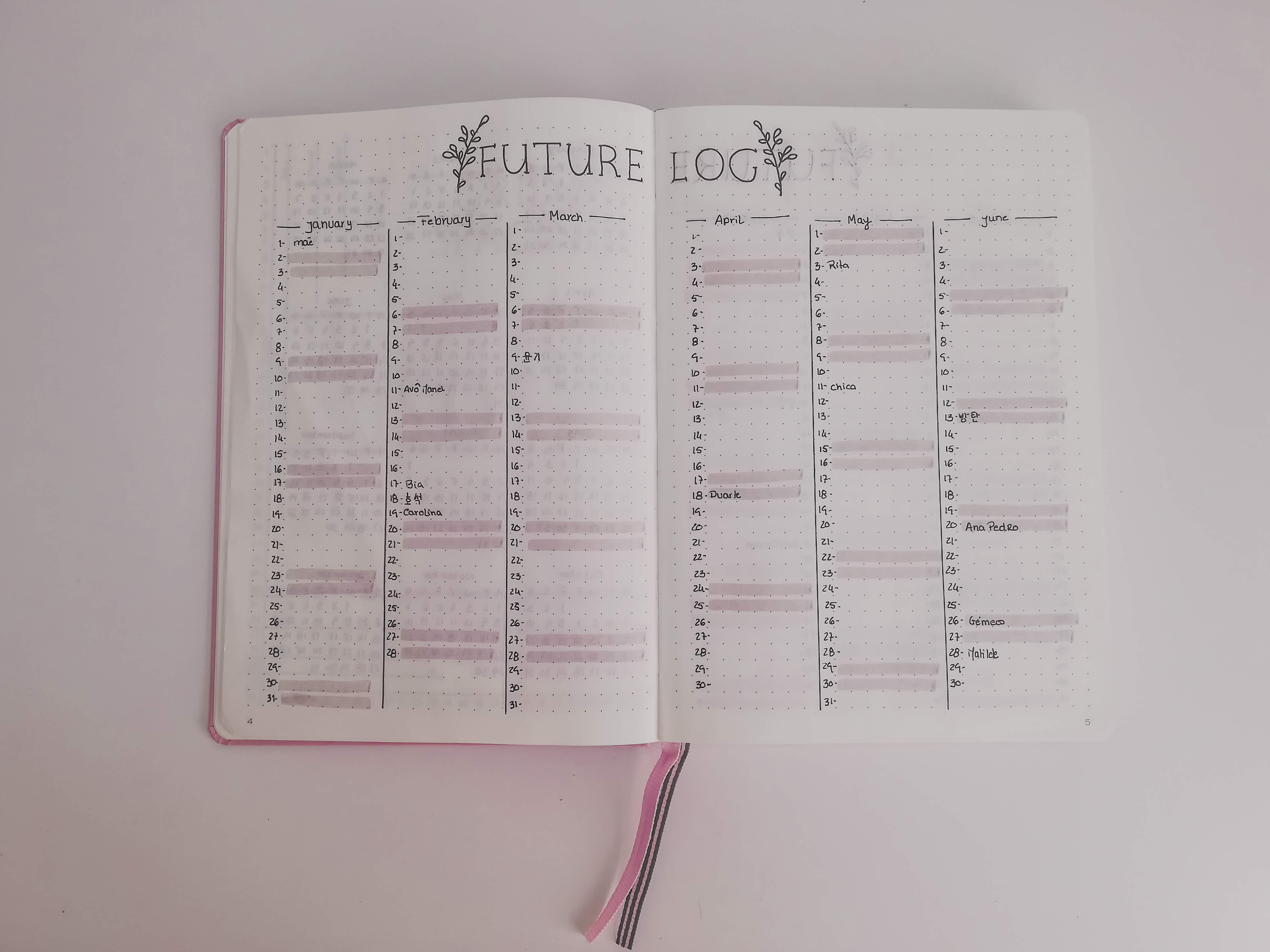 future log - bullet journal setup 